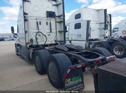 Lot #2992830860 2019 FREIGHTLINER NEW CASCADIA 126