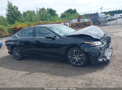 Lot #2992818540 2024 LEXUS ES 350