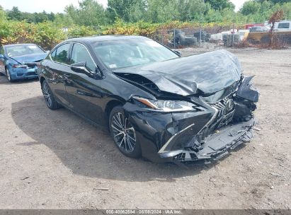 Lot #2992818540 2024 LEXUS ES 350