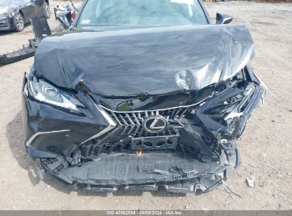 Lot #2992818540 2024 LEXUS ES 350