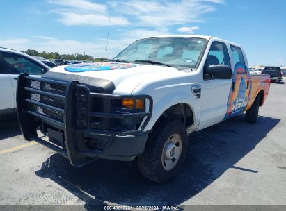 Lot #3035088066 2008 FORD F-250 XL