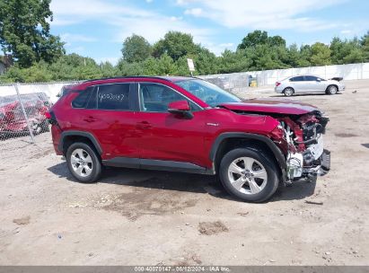 Lot #2997779802 2021 TOYOTA RAV4 XLE/XLE PREMIUM/XSE