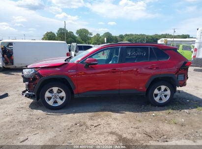 Lot #2997779802 2021 TOYOTA RAV4 XLE/XLE PREMIUM/XSE