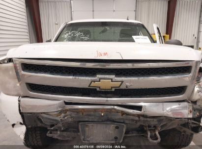 Lot #3035090067 2009 CHEVROLET SILVERADO 1500 WORK TRUCK