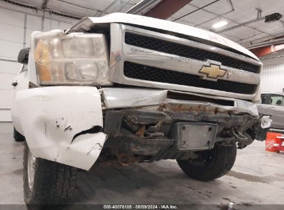 Lot #3035090067 2009 CHEVROLET SILVERADO 1500 WORK TRUCK