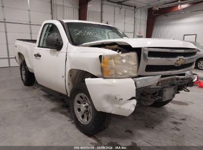 Lot #3035090067 2009 CHEVROLET SILVERADO 1500 WORK TRUCK