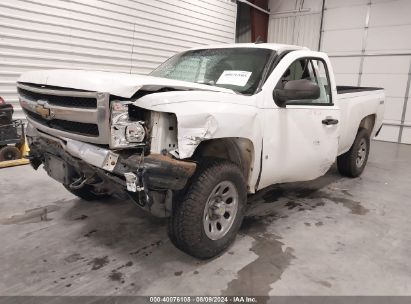 Lot #3035090067 2009 CHEVROLET SILVERADO 1500 WORK TRUCK