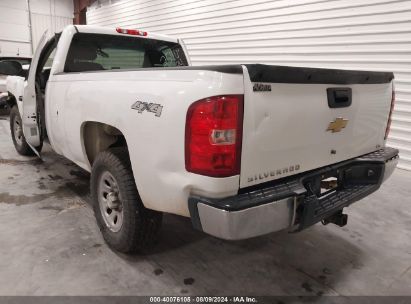 Lot #3035090067 2009 CHEVROLET SILVERADO 1500 WORK TRUCK