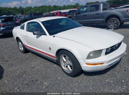 Lot #2992828287 2008 FORD MUSTANG V6 DELUXE/V6 PREMIUM