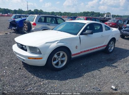 Lot #2992828287 2008 FORD MUSTANG V6 DELUXE/V6 PREMIUM