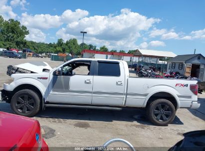 Lot #3035078541 2013 FORD F-150 FX4