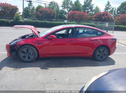 Lot #2992828265 2023 TESLA MODEL 3 REAR-WHEEL DRIVE