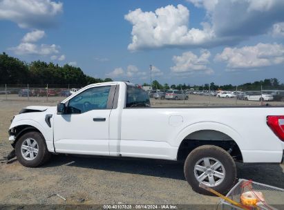 Lot #2992828253 2023 FORD F-150 XL