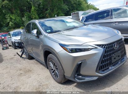 Lot #3045357149 2024 LEXUS NX 350