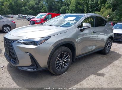 Lot #3045357149 2024 LEXUS NX 350