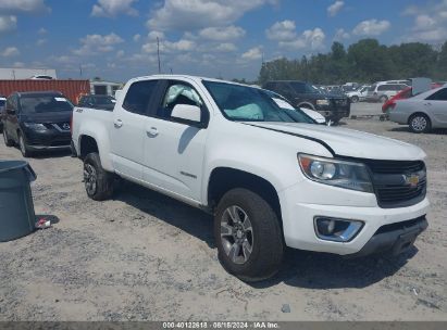 Lot #2995287312 2019 CHEVROLET COLORADO Z71