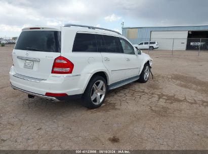 Lot #3051087632 2010 MERCEDES-BENZ GL 550 4MATIC