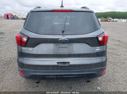 Lot #2992833388 2019 FORD ESCAPE SE