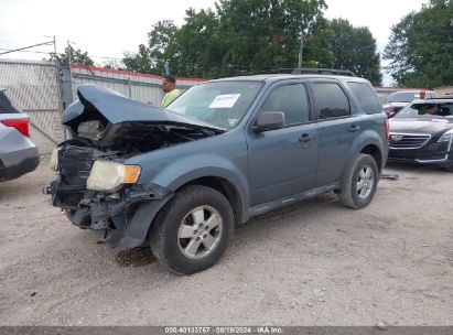 Lot #2997781760 2011 FORD ESCAPE XLT