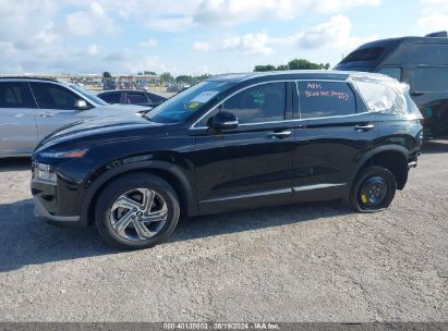 Lot #2990351523 2023 HYUNDAI SANTA FE SEL