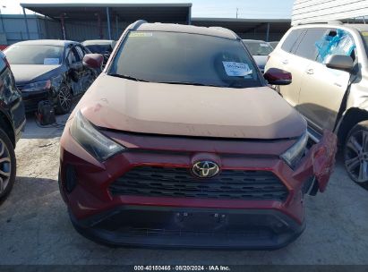 Lot #2992831163 2023 TOYOTA RAV4 XLE