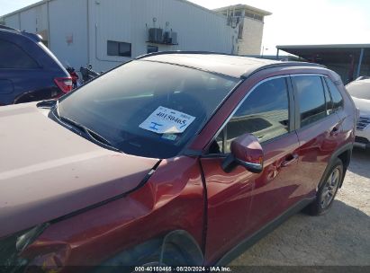 Lot #2992831163 2023 TOYOTA RAV4 XLE