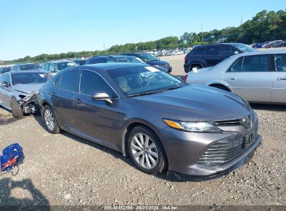 Lot #2997779286 2020 TOYOTA CAMRY LE