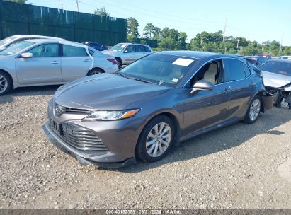 Lot #2997779286 2020 TOYOTA CAMRY LE