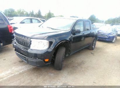 Lot #2981760876 2024 FORD MAVERICK XLT