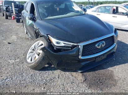 Lot #2990356879 2021 INFINITI QX50 PURE AWD