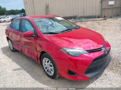 Lot #2992827971 2019 TOYOTA COROLLA LE