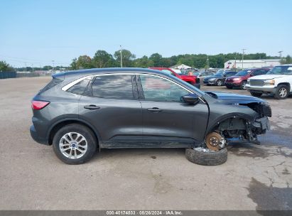 Lot #2997779236 2020 FORD ESCAPE SE