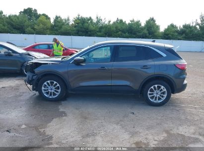 Lot #2997779236 2020 FORD ESCAPE SE