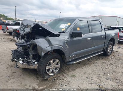 Lot #2985458253 2023 FORD F-150 XLT