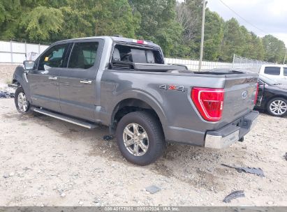 Lot #2985458253 2023 FORD F-150 XLT