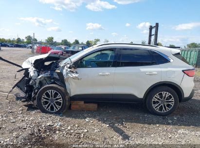 Lot #2992828435 2020 FORD ESCAPE SEL