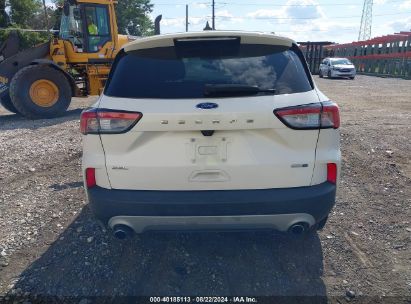 Lot #2992828435 2020 FORD ESCAPE SEL