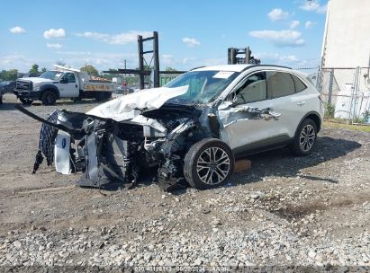 Lot #2992828435 2020 FORD ESCAPE SEL