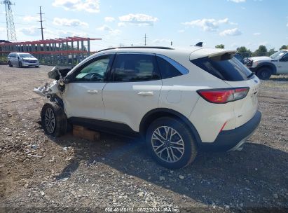 Lot #2992828435 2020 FORD ESCAPE SEL