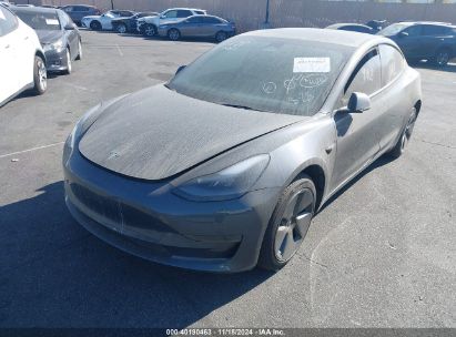 Lot #2992820155 2023 TESLA MODEL 3 REAR-WHEEL DRIVE