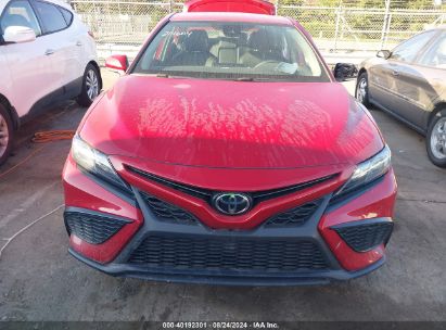 Lot #2992828421 2024 TOYOTA CAMRY SE