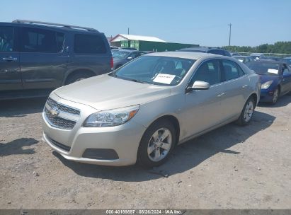 Lot #3035078406 2013 CHEVROLET MALIBU 1LT