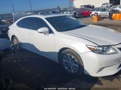 Lot #3005352243 2014 LEXUS ES 300H