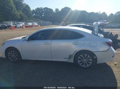 Lot #3005352243 2014 LEXUS ES 300H