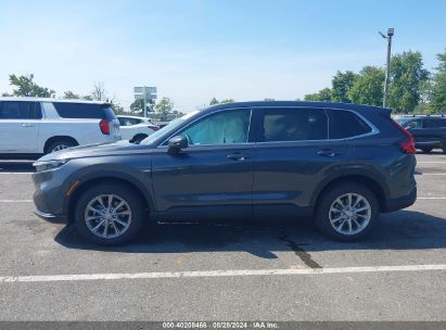 Lot #2996535742 2025 HONDA CR-V EX-L AWD