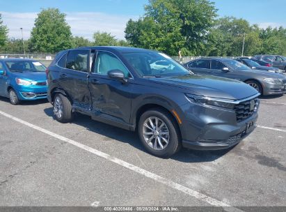 Lot #2996535742 2025 HONDA CR-V EX-L AWD