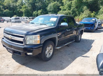 Lot #2997779225 2008 CHEVROLET SILVERADO 1500 LT1/LT2/LTZ/WORK TRUCK