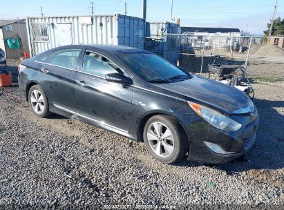 Lot #2992833508 2011 HYUNDAI SONATA HYBRID