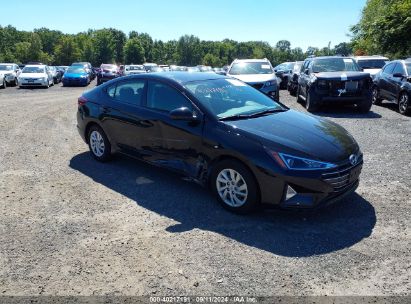 Lot #2990351367 2020 HYUNDAI ELANTRA SE