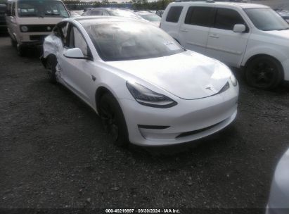 Lot #2997779201 2020 TESLA MODEL 3 STANDARD RANGE PLUS REAR-WHEEL DRIVE/STANDARD RANGE REAR-WHEEL DRIVE